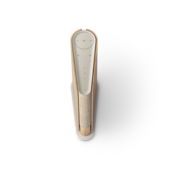 Bang & Olufsen Beosound Emerge Wi-Fi Speaker - Gold Tone Aluminium / Light Oak