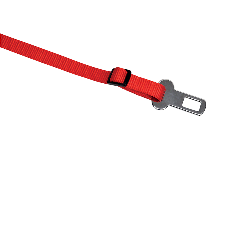 Camon Safety Leash | F20