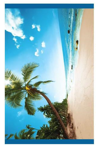 Beach Towel – Tropical Palm & Shoreline Print | AL-42285-100