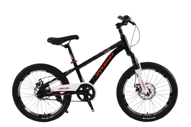 Phoenix Bicycle Front Suspension & Disc Brakes - 20 inch | TS-20