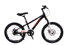 Phoenix Bicycle Front Suspension & Disc Brakes - 20 inch | TS-20