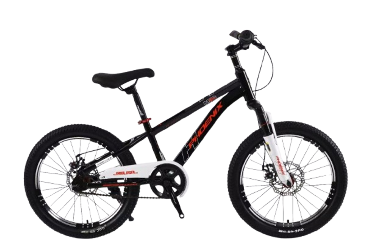 Phoenix Bicycle Front Suspension & Disc Brakes - 20 inch | TS-20