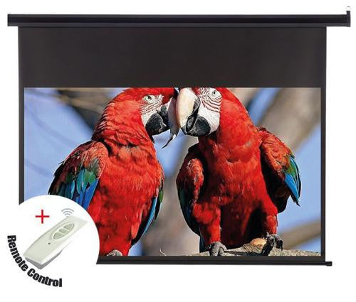 SkyPro Electric Projector Screen 180cm x 180cm With RF Remote Control | SP-ELC180