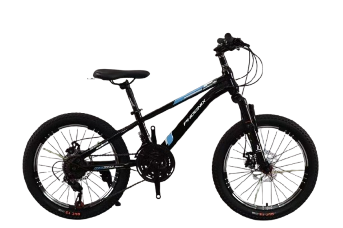 Phoenix Bicycle Front Suspension & Disc Brakes - 20 inch | WEF-20