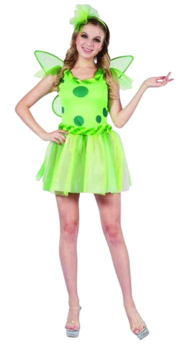 Green Fairy Costume (Dress, Headband & Wings) | 99587