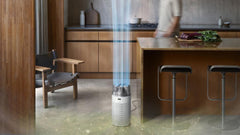 Dyson HushJet™ Purifier Compact SP01 (White/Silver) | 491355-01