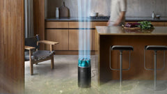 Dyson HushJet™ Purifier Compact SP01 (Black/Teal) | 491338-01