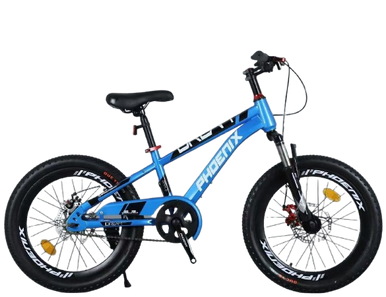 Phoenix Bicycle Front Suspension & Disc Brakes - 20 inch | ZF-20