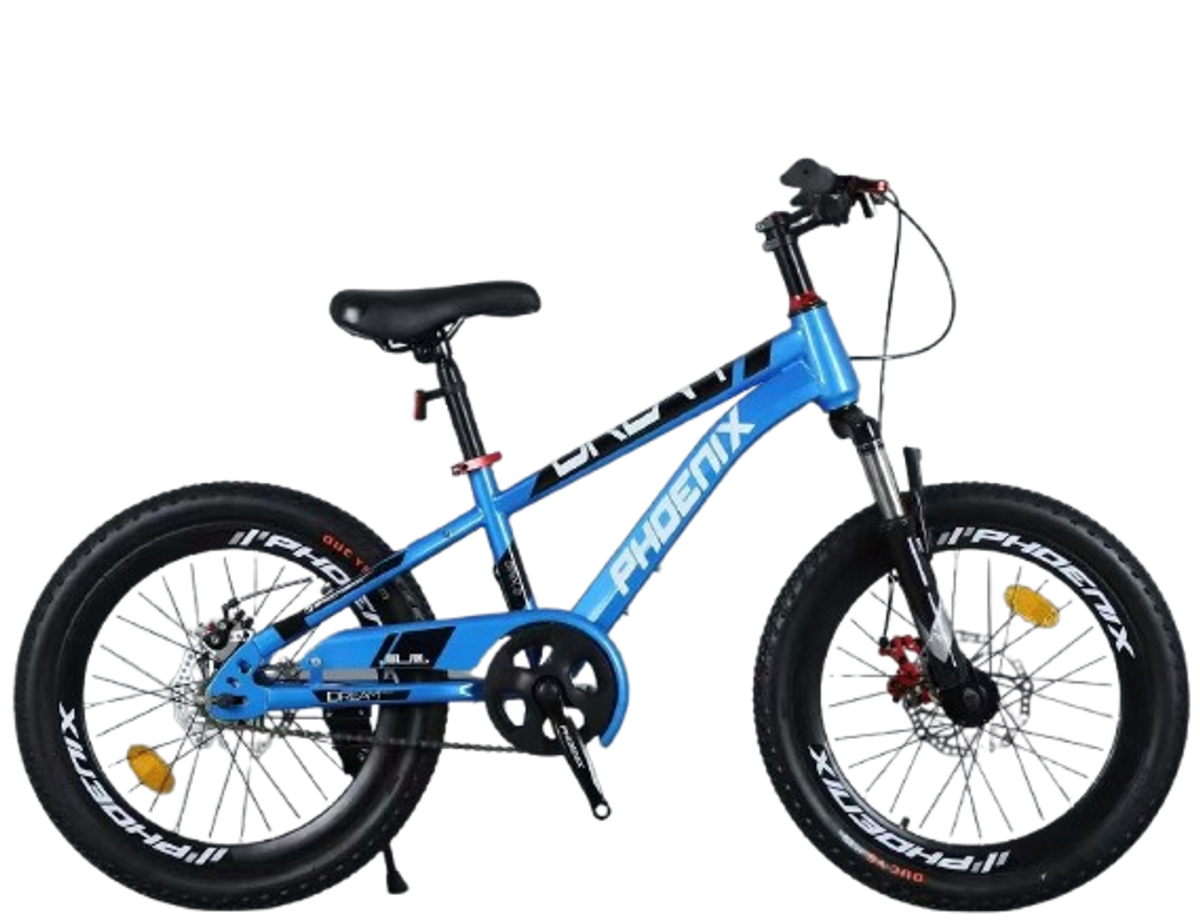 Phoenix Bicycle Front Suspension & Disc Brakes - 20 inch | ZF-20