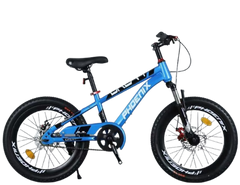 Phoenix Bicycle Front Suspension & Disc Brakes - 20 inch | ZF-20
