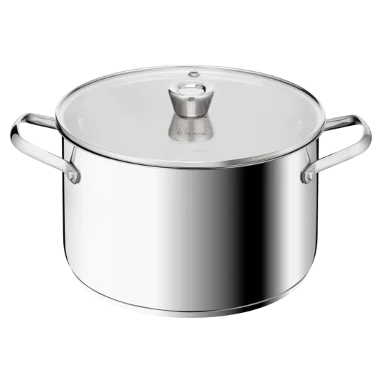 Tefal Emotion+ XL Stainless Steel Pot with Glass Lid 26cm | E3366355