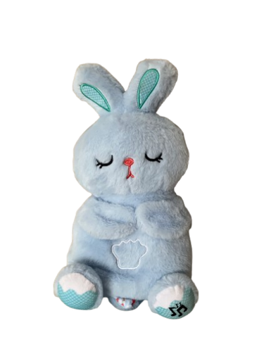 Soft Sleeping Rabbit Plush Toy – Blue | 312-4