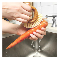 Full Circle Ring Bamboo Vegetable and Fruit Cleaning Brush | FC09106