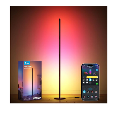 Govee Floor Lamp | H6076