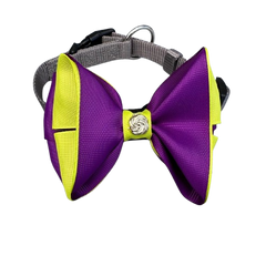 Pet Collar With Bow Purple, Yellow & Grey | PT-COL-PR