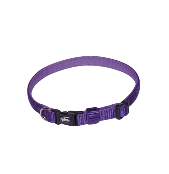 Nobby Collar "Classic Preno" 10mm | 8066