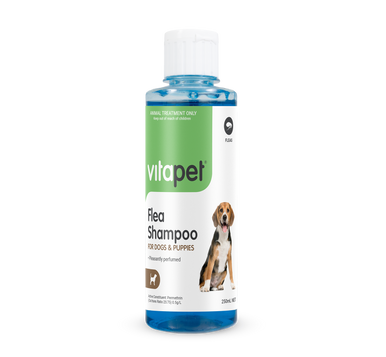 Tick & Flea Shampoo for Cats and Dogs - 250ML