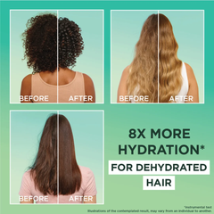 Garnier Ultra Doux Vegan Hair Food Aloe Vera & Coconut Shampoo