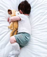 Twistshake Plush Toy Lion | 78506