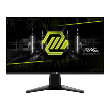 MSI MAG 255XFV 25-inch Gaming Monitor, 1920 x 1080 (FHD), 0.5ms Response Time, 250Hz, HDMI, DP Port | 255XFV