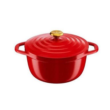 Tefal Air Cast Aluminium Stewpot 24cm + lid | E2544655