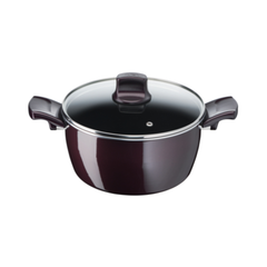 Tefal Resist Intense 22 cm Stewpot | D5224582