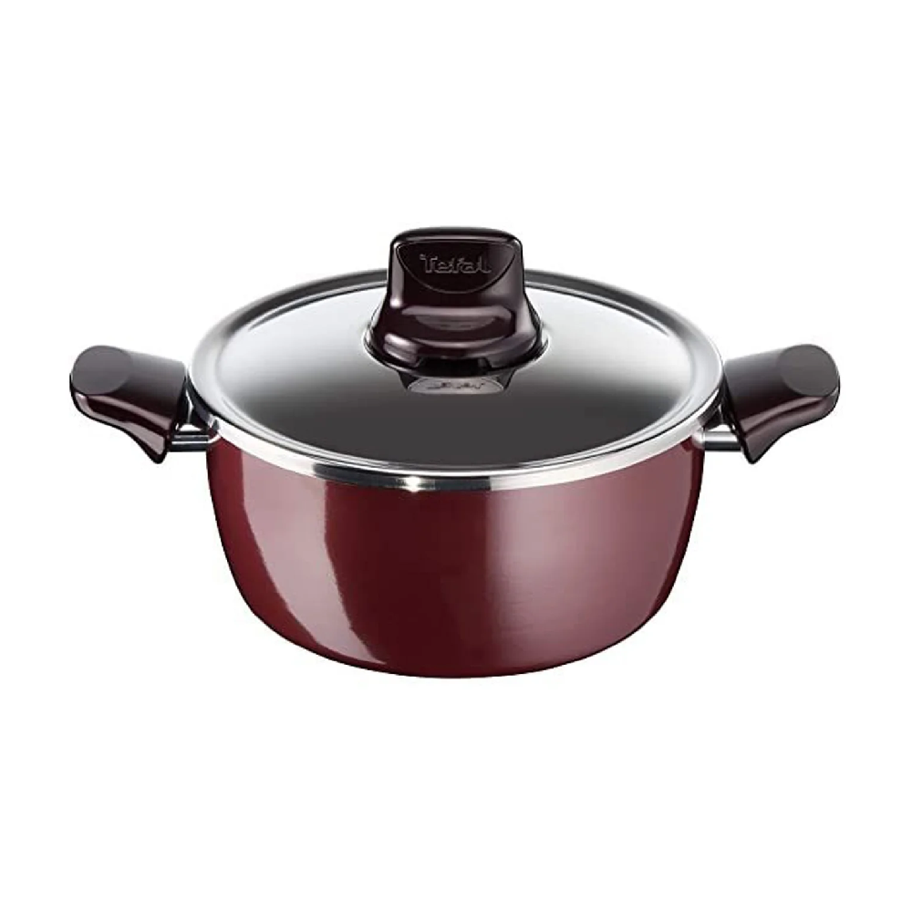 Tefal Pleasure Stewpot - 24Cm | D5024662